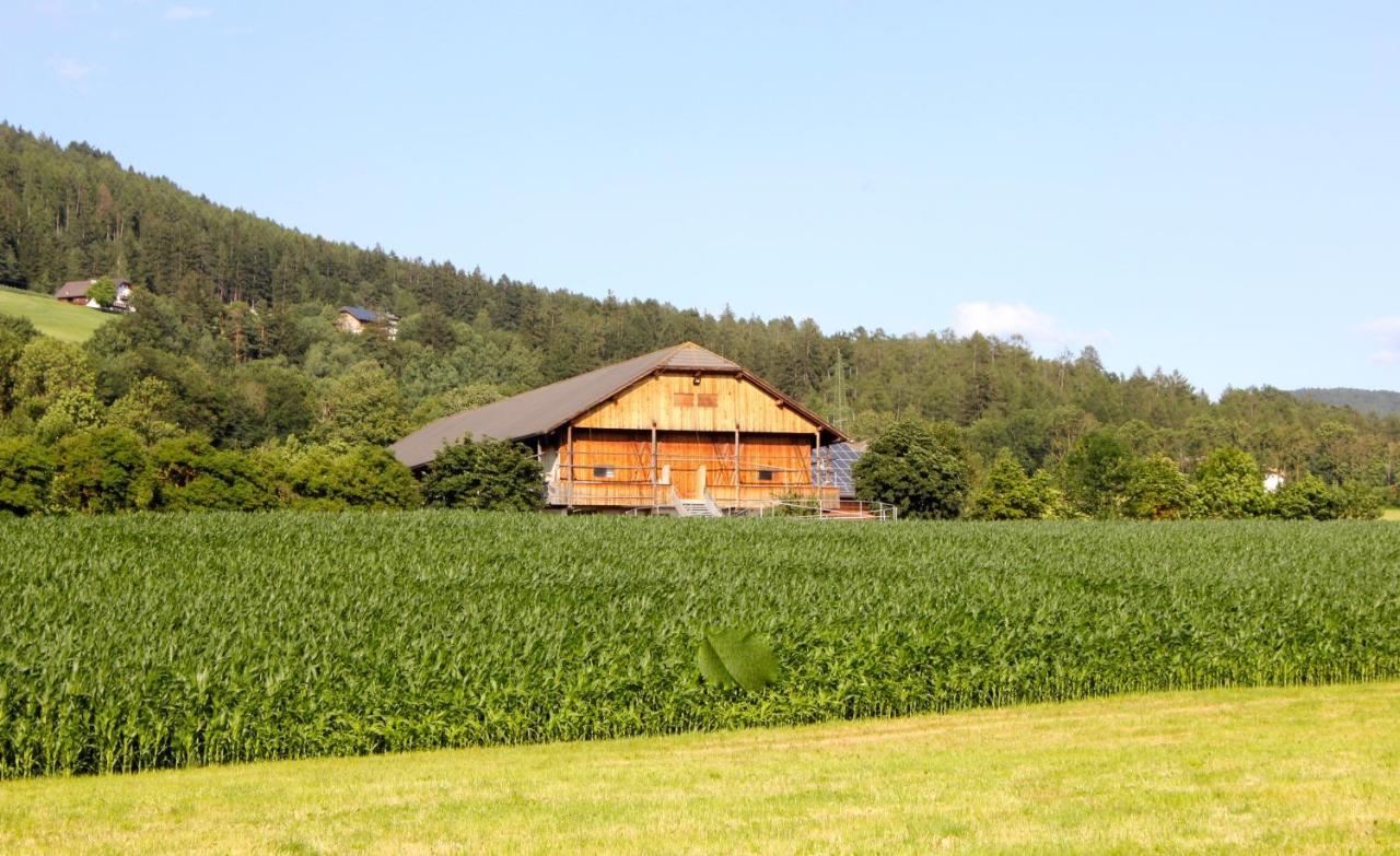 Ferienwohnung Im Grünen mit Panoramablick auf Bruneck - Beste Lage Exterior foto