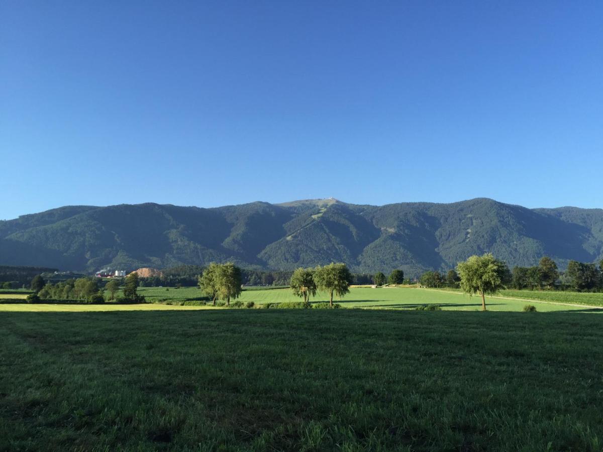 Ferienwohnung Im Grünen mit Panoramablick auf Bruneck - Beste Lage Exterior foto