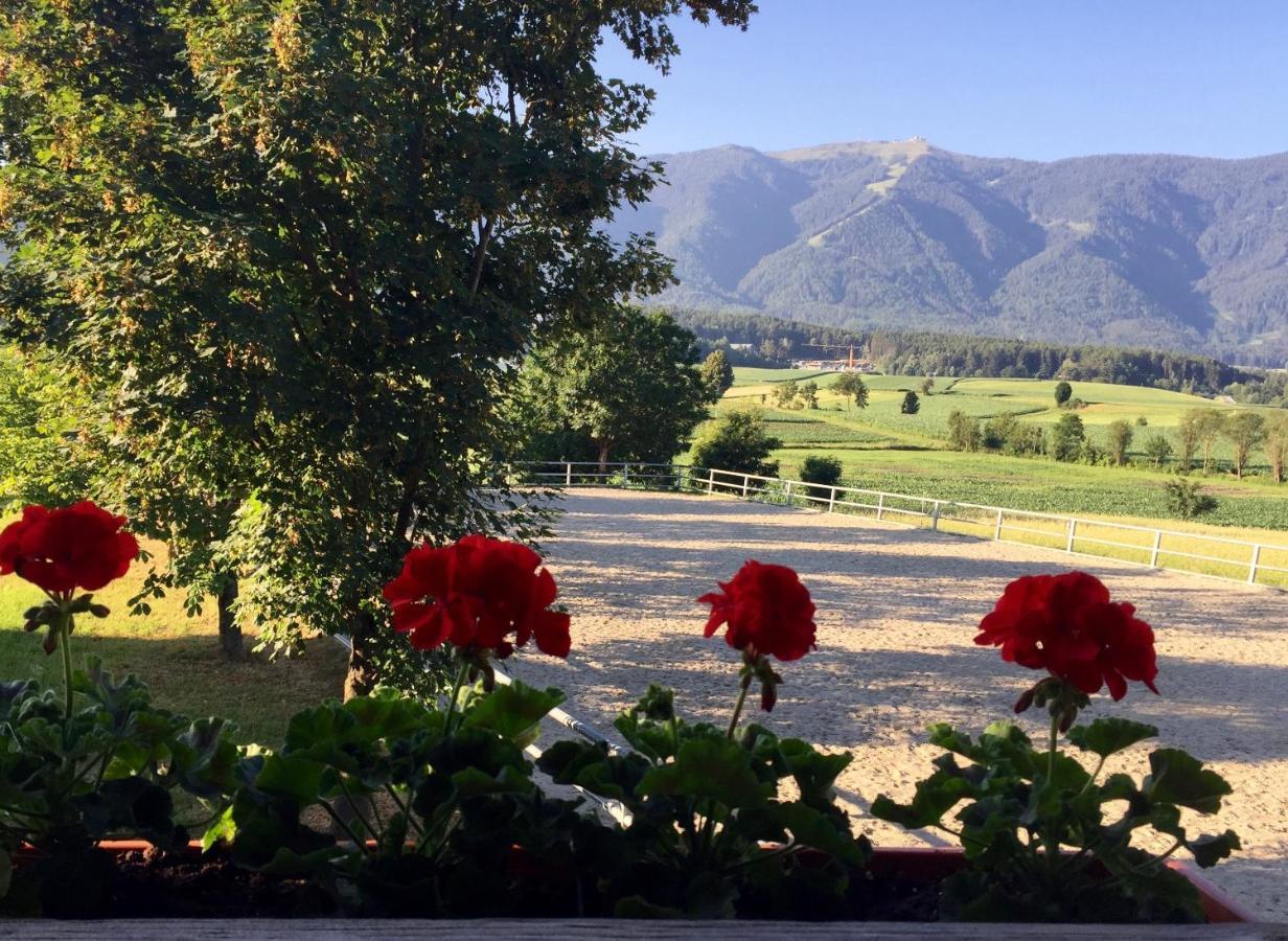 Ferienwohnung Im Grünen mit Panoramablick auf Bruneck - Beste Lage Exterior foto